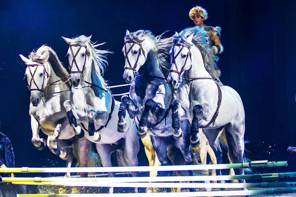 CAVALLUNA Kids: Eine bunte Sommershow mit Ferienstimmung