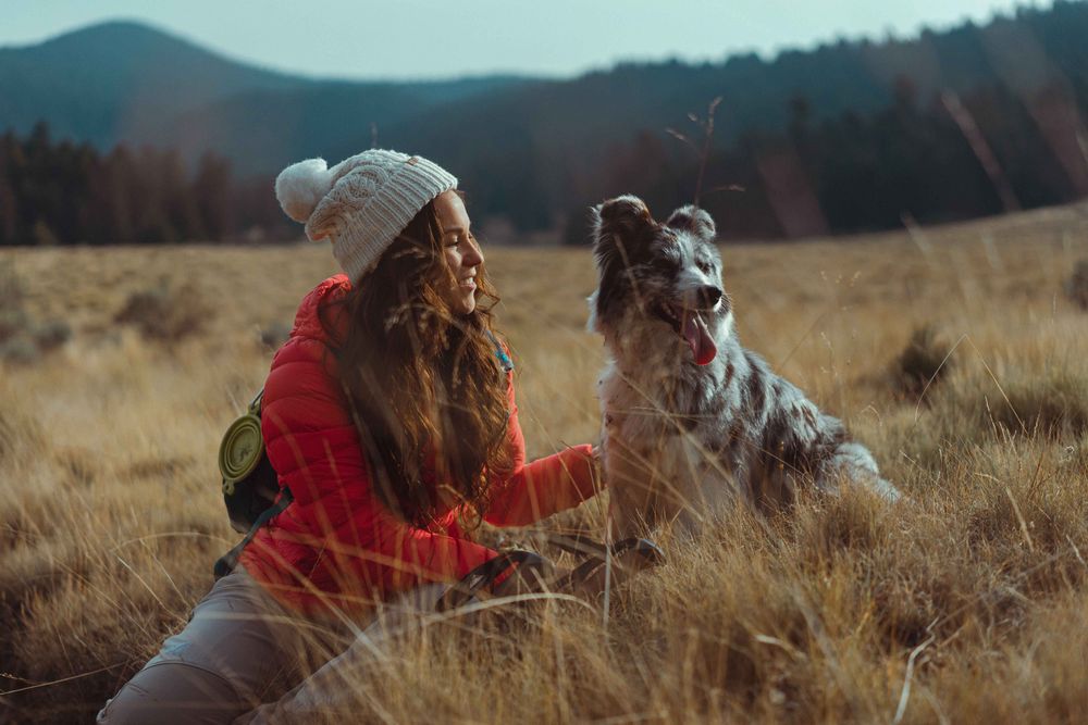 Welttierschutztag - Heimtiere anschaffen gut überlegen