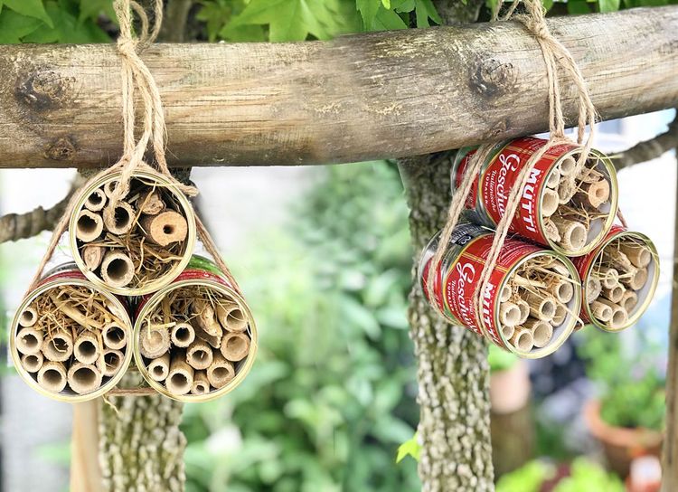 Ein Urlaub für Bienen