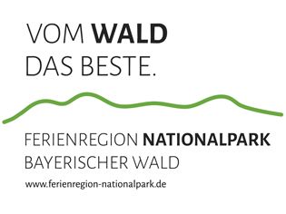 Waldurlaub für Familien im 1. Nationalpark Deutschlands