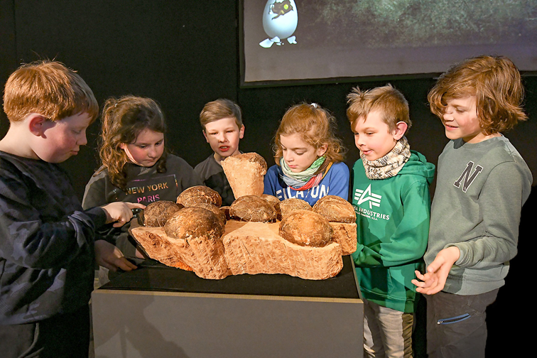 Dinosaurier-Eier – Nachwuchs der Riesenechsen
