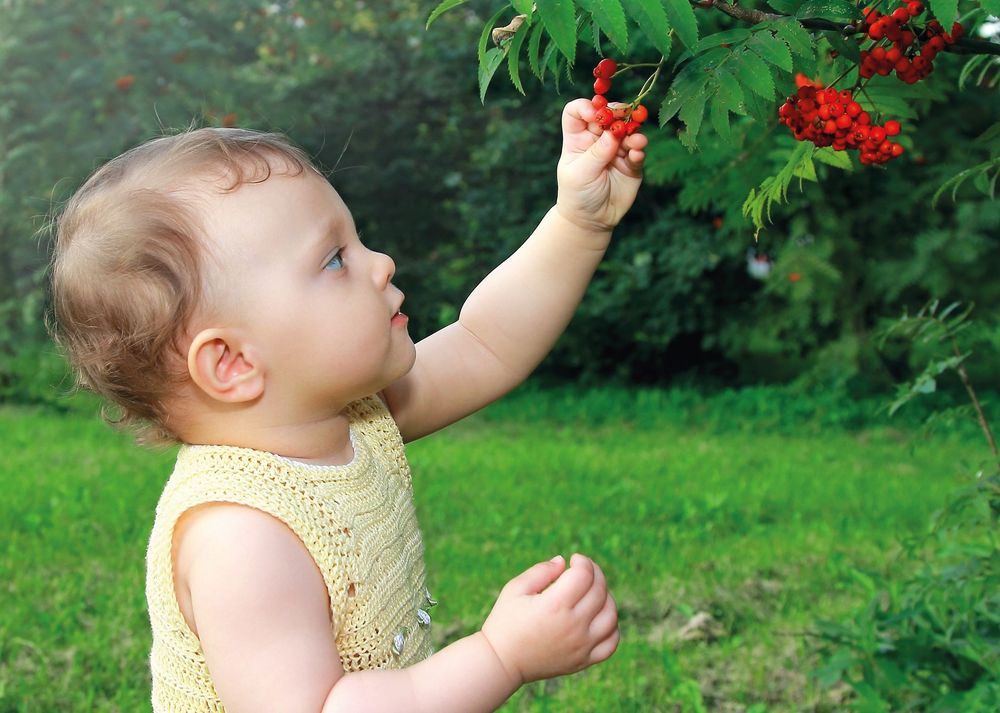 Vergiftungsgefahren bei Kindern im Alltag