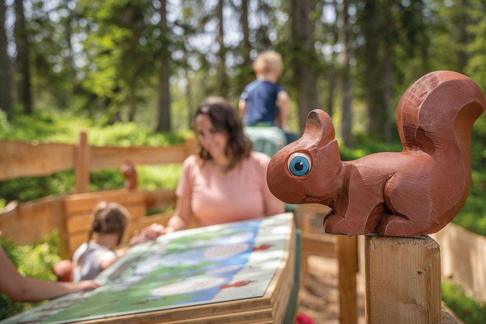 Filzmoos Tourismus – Bild 3 von 11