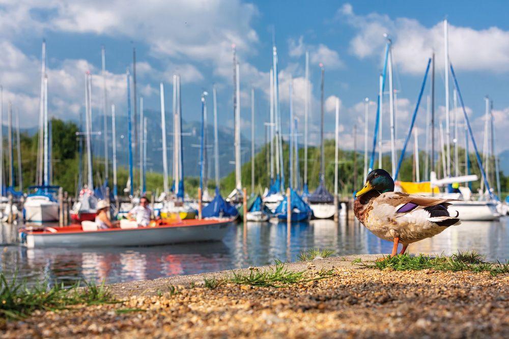 Übersee am Chiemsee – Bild 4 von 5