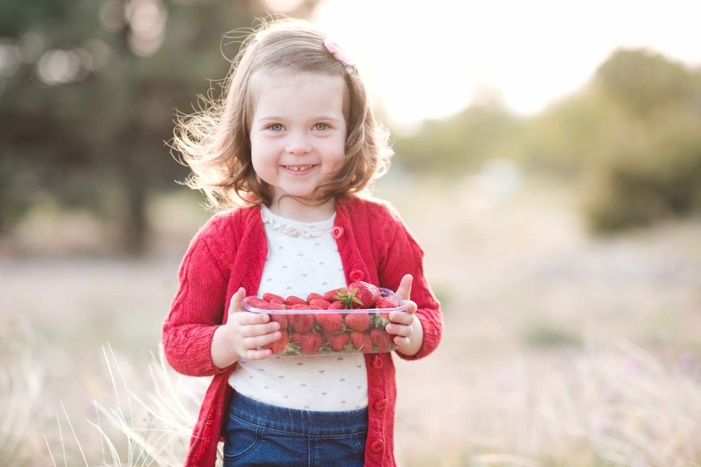 Erdbeeren selbst pflücken: Ein Sommererlebnis für die ganze Familie