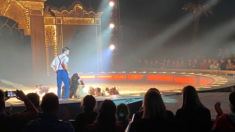 Circus Krone - Eine wahnsinns Premiere in Rosenheim – Bild 5 von 5