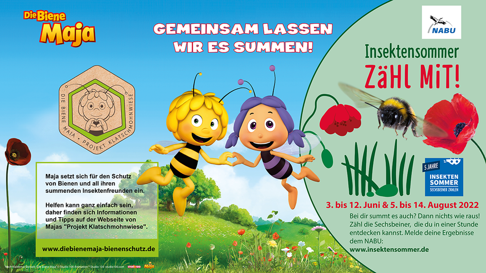Gemeinsam lassen wir es summen und brummen!