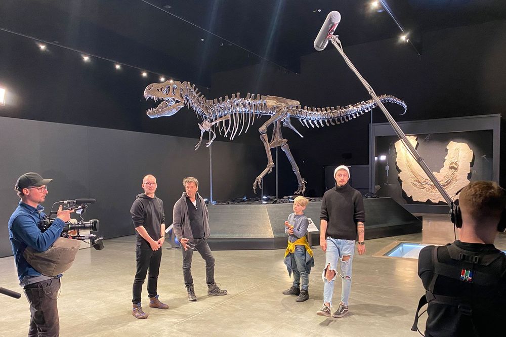 Dinosaurier Museum startet Führungen für Gehörlose
