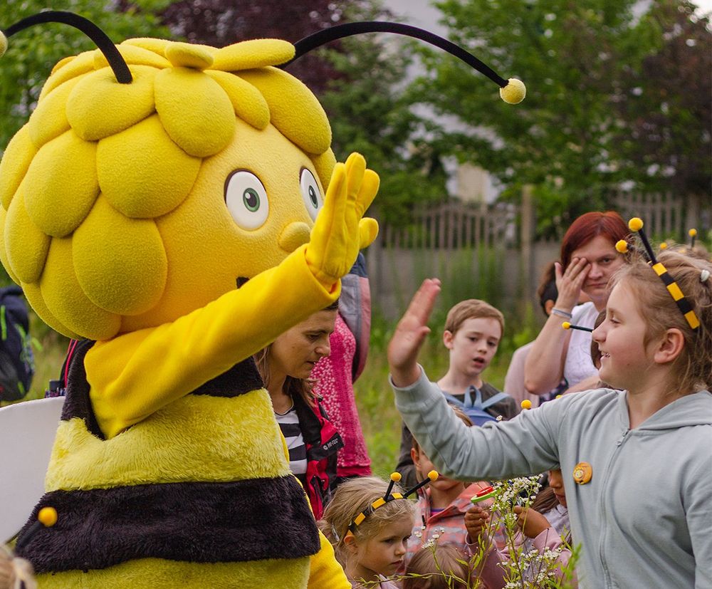 Artenschutz: 2023„nichts“ tun für die Insekten