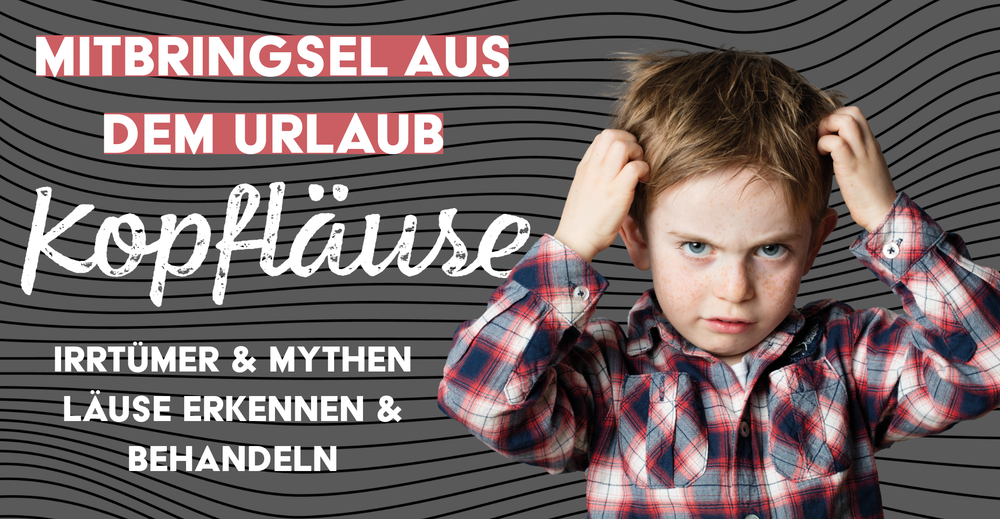 Wie erkennt man Kopfläuse - Was tun bei Kopfläusen