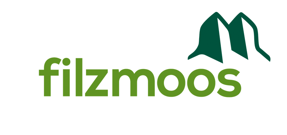 Filzmoos Tourismus – Bild 7 von 11