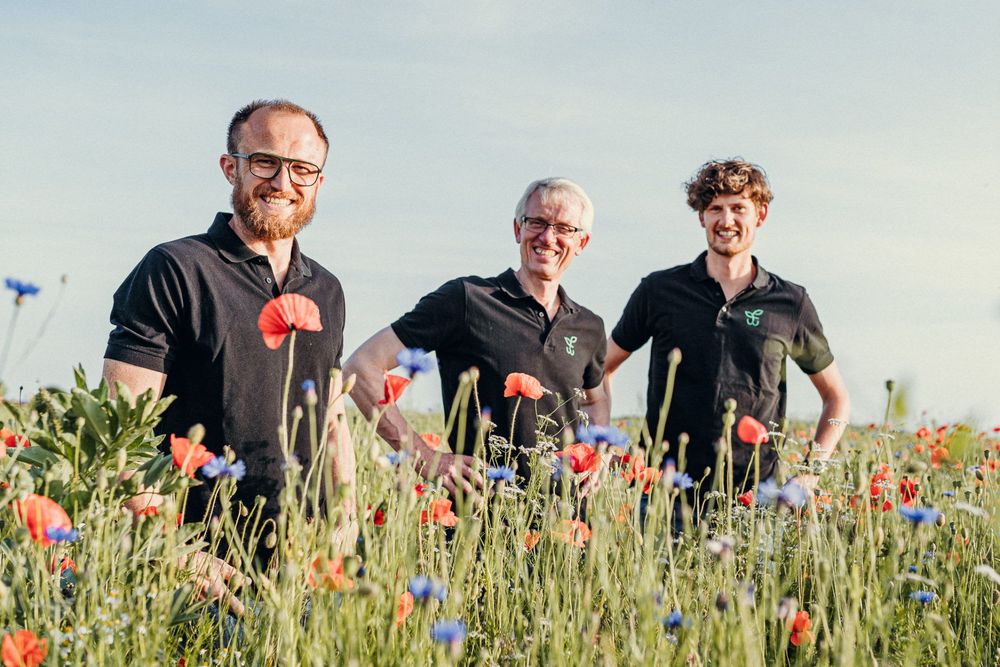Wir suchen: Blühflächen für Insekten