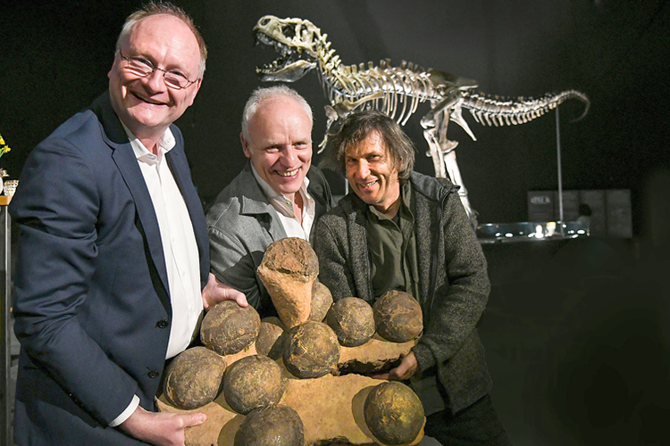 Dinosaurier-Eier – Nachwuchs der Riesenechsen