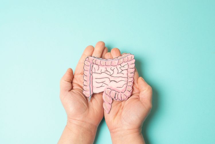 Bauchbalance: Was unser Mikrobiom stärkt