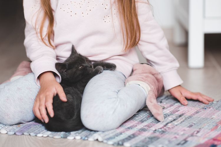 Tiere als Freunde fürs Leben: Warum Haustiere Kindern guttun