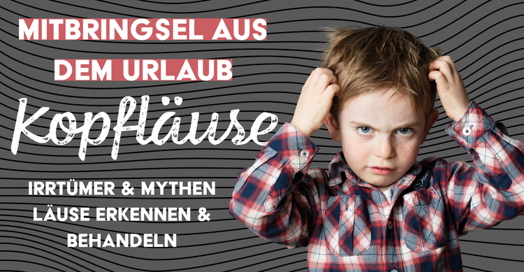 Wie erkennt man Kopfläuse - Was tun bei Kopfläusen