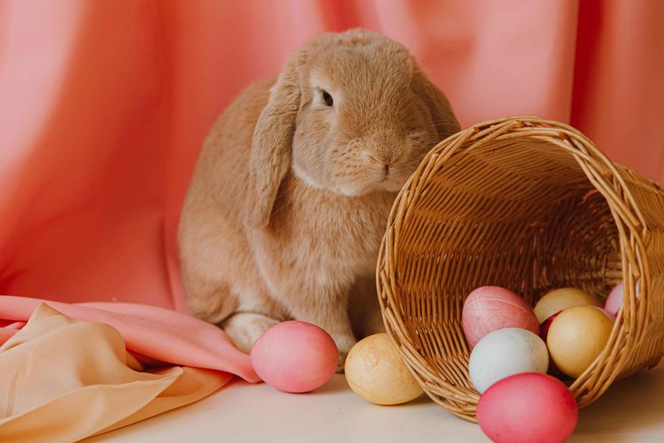 Hasen, Eier und kuriose Bräuche: So bunt ist Ostern rund um die Welt