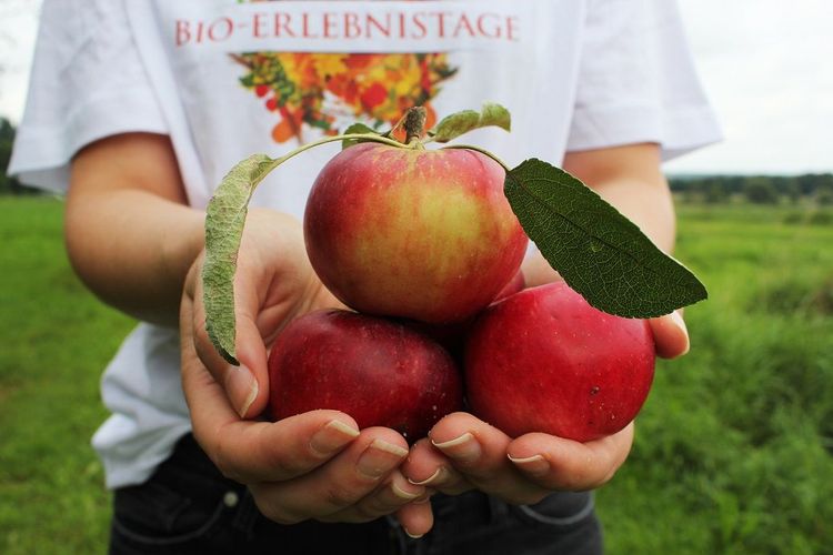 Eine große Portion Bio, bitte!