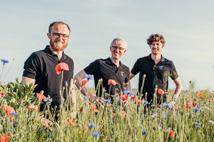 Wir suchen: Blühflächen für Insekten