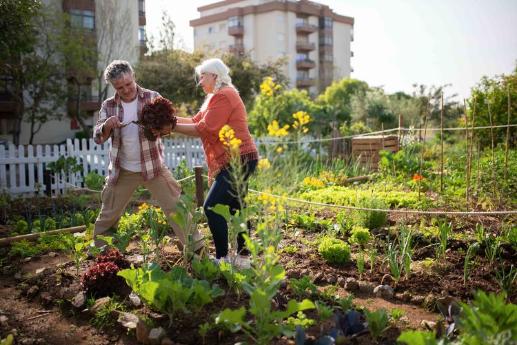 Was wächst in den bayerischen Garten?