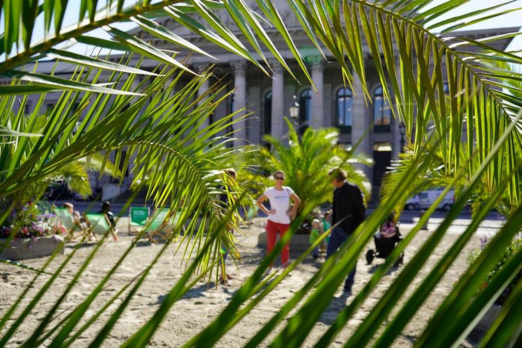 Zweiter Palmengarten bringt Urlaubsgefühl nach München