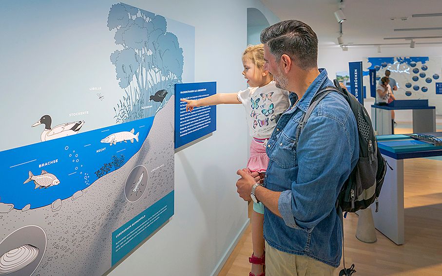 Wundersame Wasserwelten entdecken – Bild 1 von 5