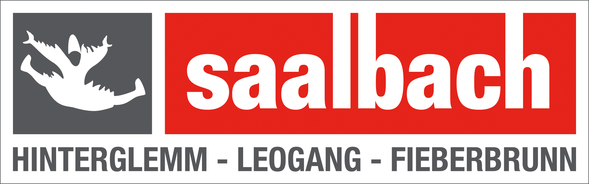 Saalbach Hinterglemm Leogang Fieberbrunn – Bild 2 von 2