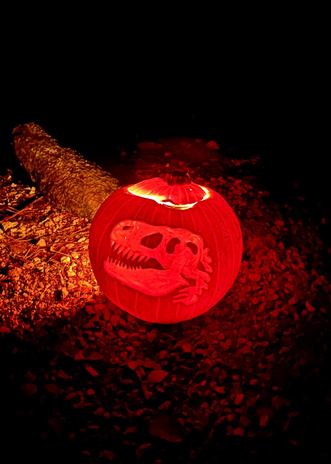 DINOWEEN im Dinosaurier Museum Altmühltal – Bild 3 von 5