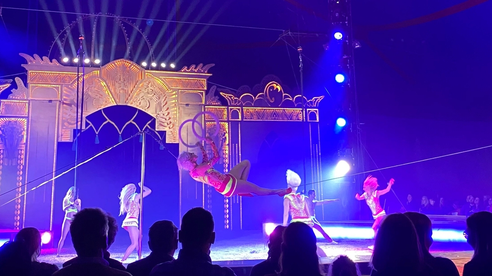 CircusKrone_7_online.jpg