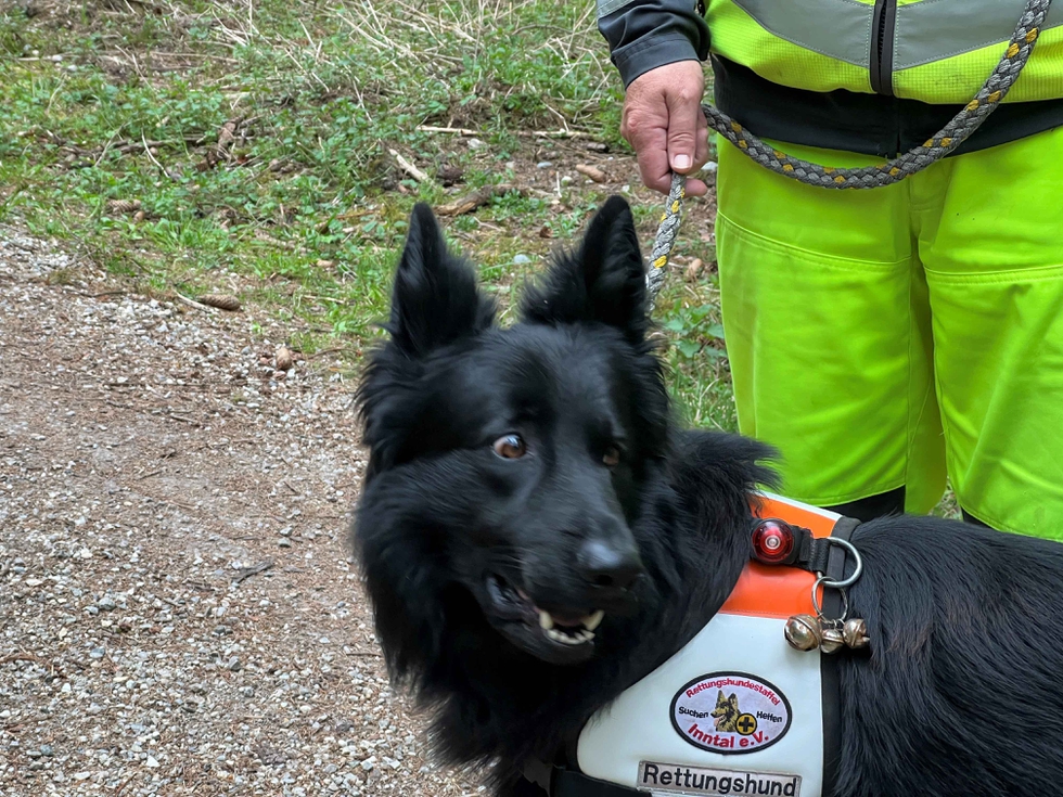 Rettungshundestaffel_1.jpg