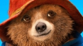 paddington_portraet.jpg