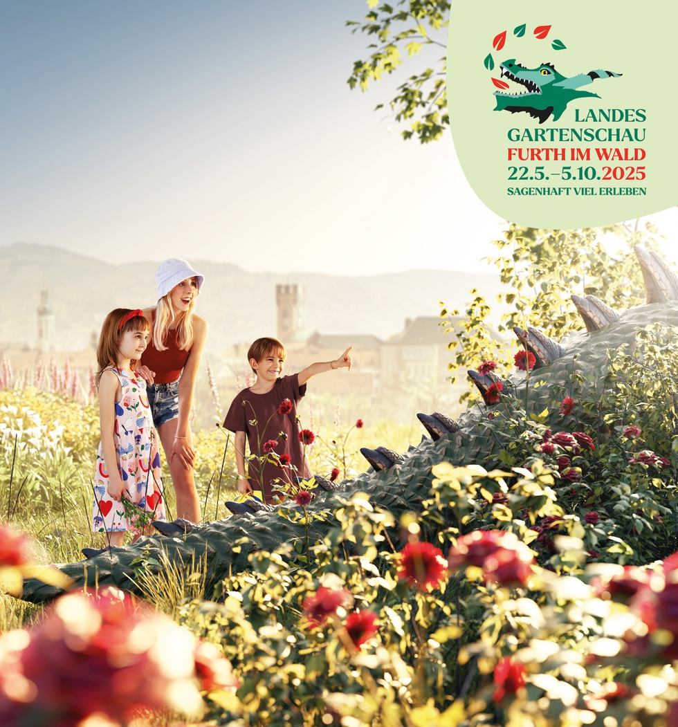 LGSF_Drache im Geb¸sch