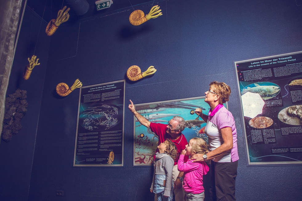 TriassicPark_Steinplatte_Waidring_©defrancesco (23).jpg