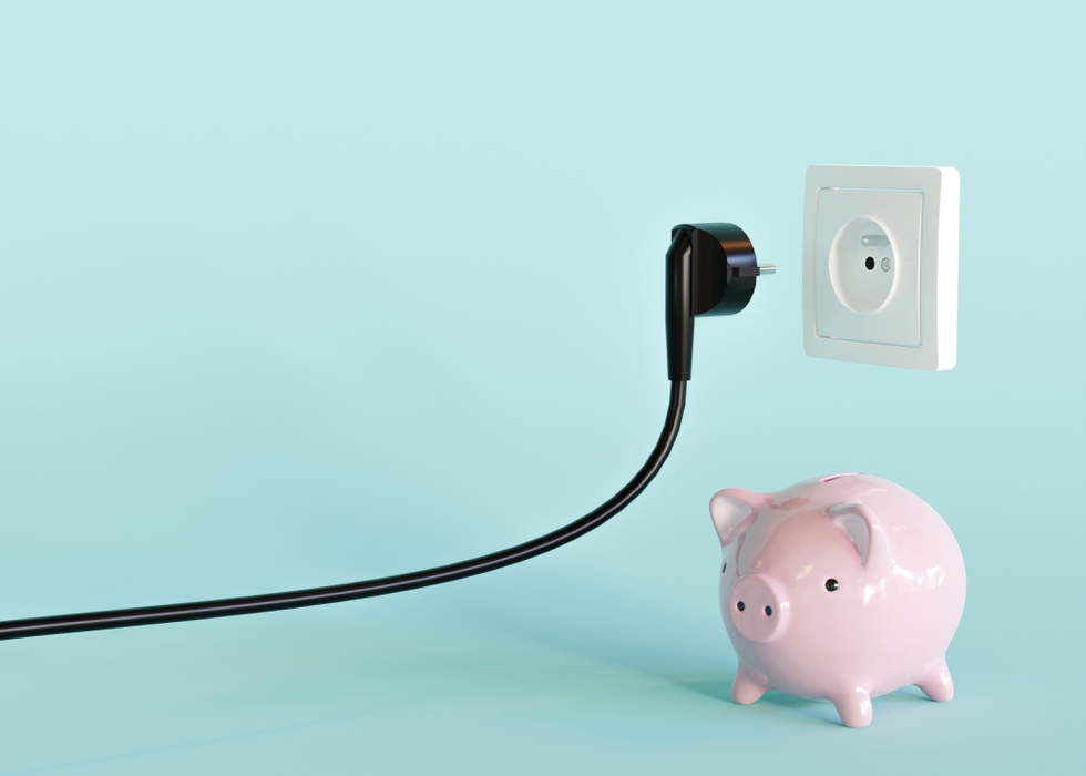 Black_Electrical_Plug_And_Piggy_Bank_original_1659077.jpg