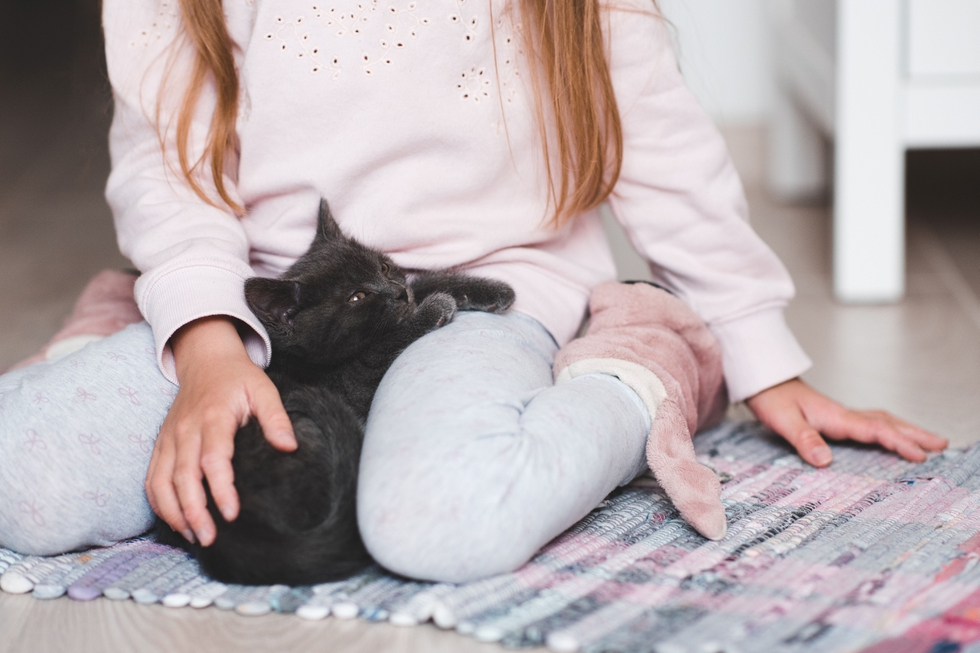 Girl_Holds_A_Baby_Kitten_At_Home_original_1750321.jpg