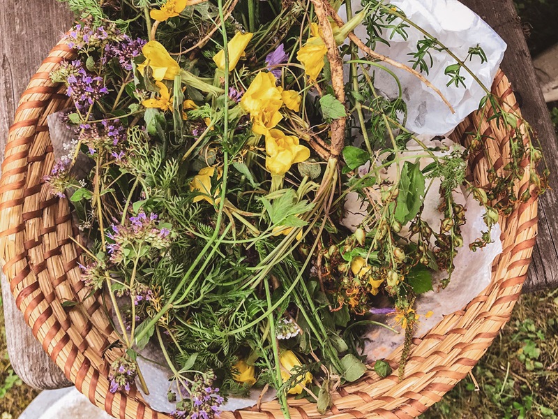 Genusswochenbroschüre