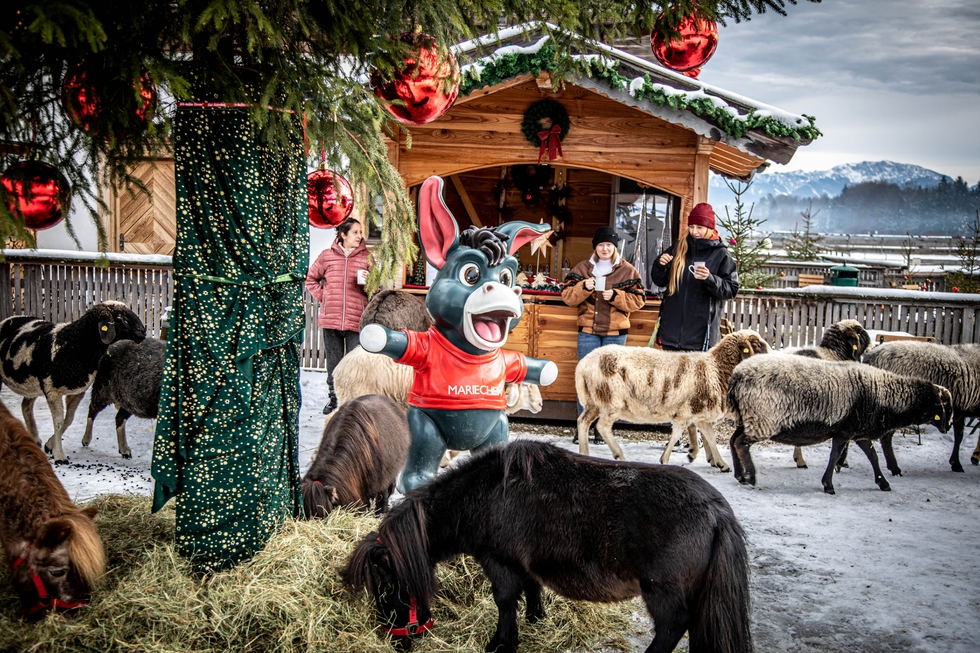 (c) Gut Aiderbichl Weihnachtsstimmung am Adventsmarkt in Iffeldorf.JPG