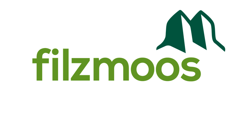 Logo-Filzmoos-green (1).png