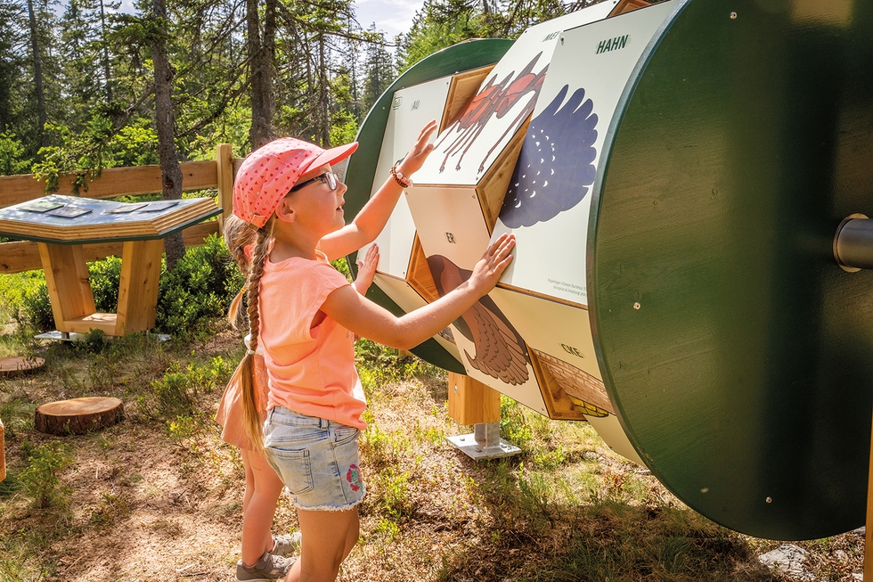 Bilderbuchrunde_Rossbrand©AngelaJäger_www.filzmoos (43).jpg