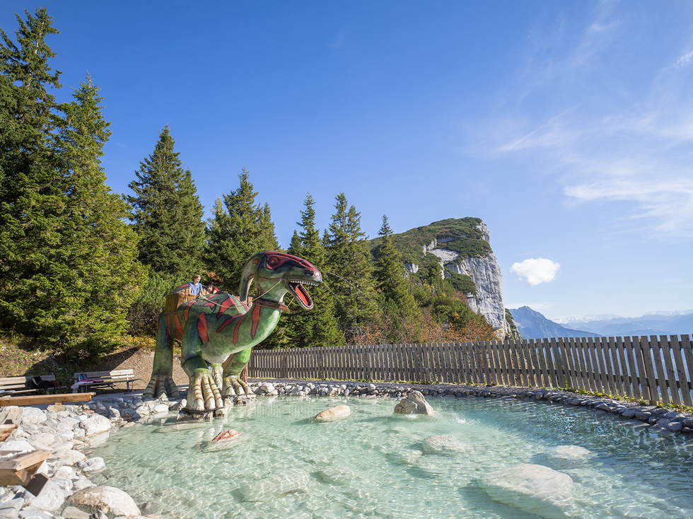 TriassicPark_Steinplatte_Waidring_©defrancesco  (3).png