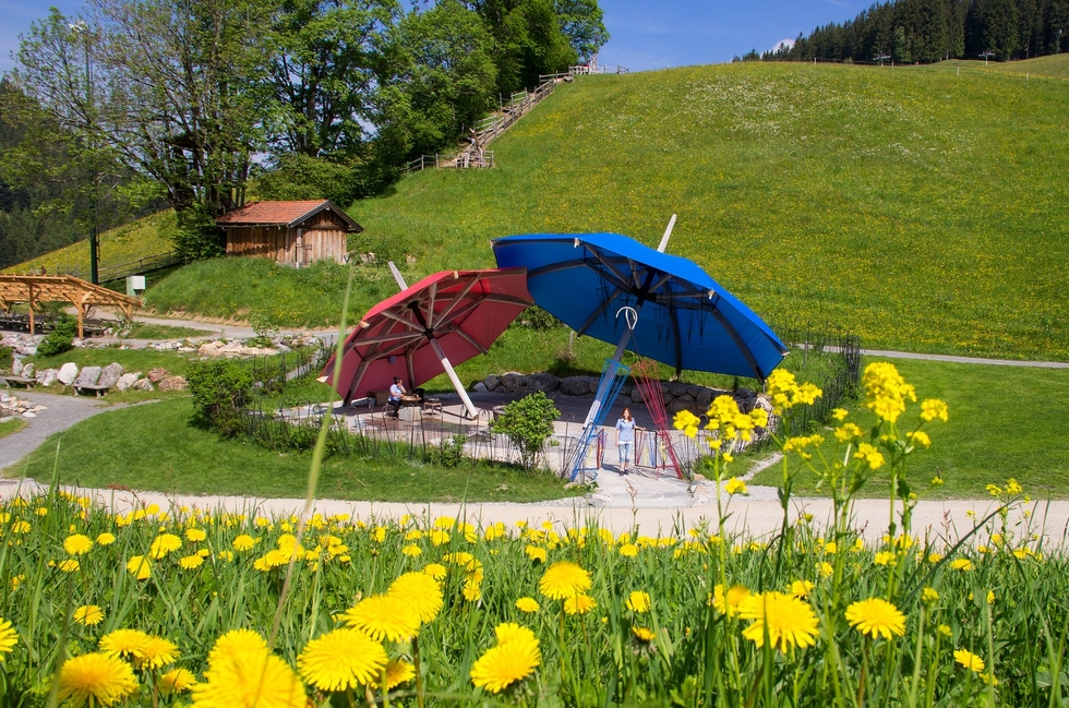 Pressebilder 2024 Hexenschirme.jpg