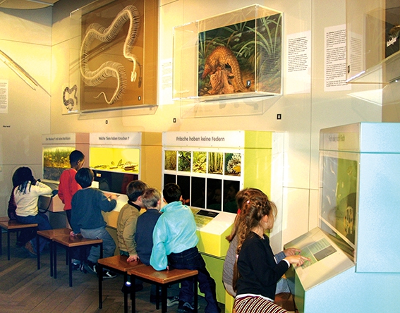 Museum Mensch und Natur