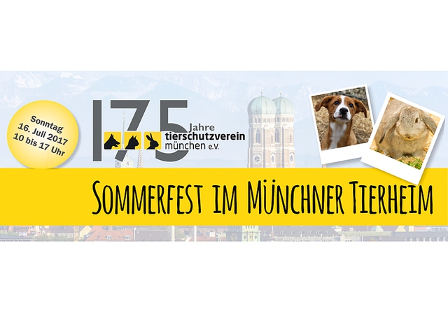 Tierschutz Intern August 2019 Tierschutzverein Munchen E V