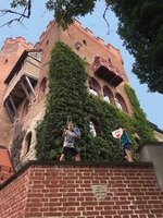 Burg Schwaneck.jpg