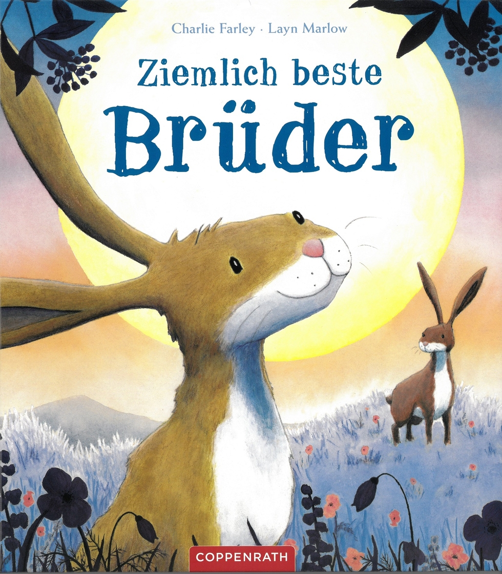 Ziemlich beste Brüder