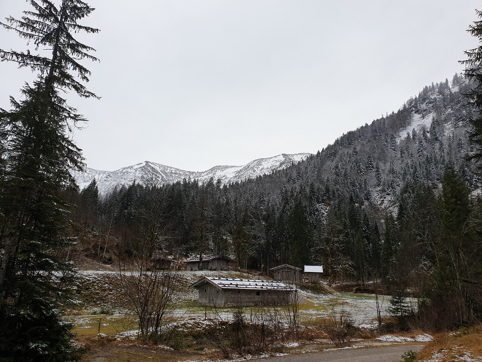20191201_130518.jpg